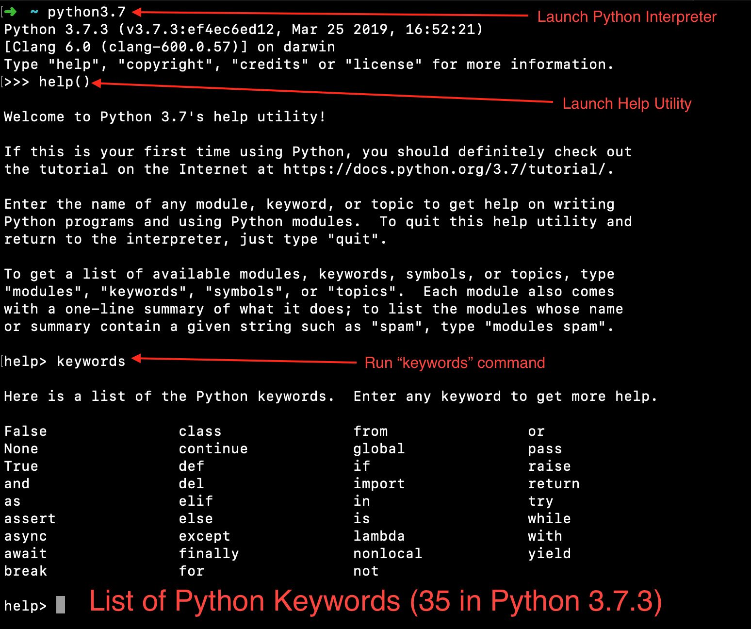 Python Keywords Everything You Must Know About Them Askpython