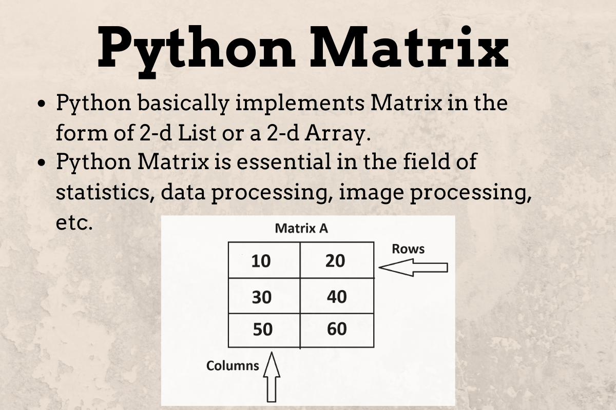 python matrix assignment