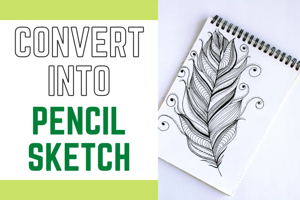 Convert Vector from Image or Vectorize low Resulotion Sketch by Shahariya  Anower on Dribbble